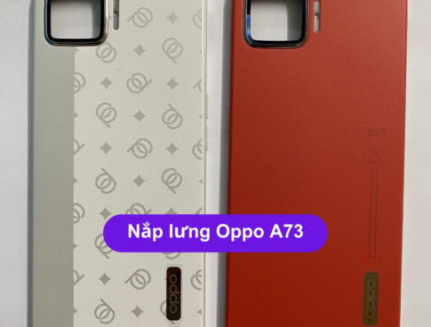 Nap Lung Oppo A73 Thay Mat Lung Oppo Zin Hang Lay Ngay Tai Ha Noi