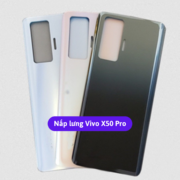 Nap Lung Vivo X50 Pro Thay Mat Lung Vivo Zin Hang Lay Ngay Tai Ha Noi