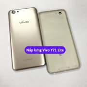 Nắp lưng Vivo Y71 Lite, Thay mặt lưng Vivo zin hãng lấy ngay tại Hà Nội