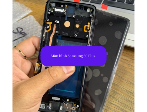 Màn Hình Samsung S9 Plus.