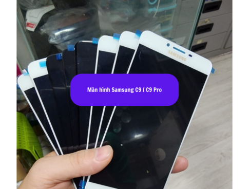 Màn Hình Samsung S9 Plus. (13)