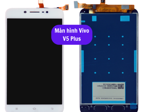 Thay Man Hinh Vivo V5 Plus Sua Chua Man Hinh Vivo Uy Tin Lay Ngay Tai Ha Noi