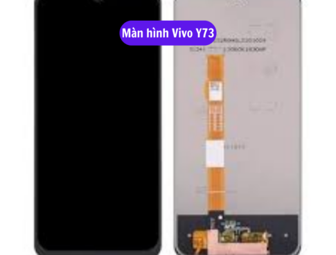 Thay Man Hinh Vivo Y73 Sua Chua Man Hinh Vivo Uy Tin Lay Ngay Tai Ha Noi